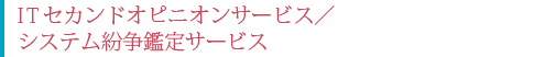 ITセカンドオピニオンサービス／システム紛争鑑定サービス