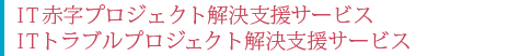 IT赤字プロジェクト解決支援サービス　ITトラブルプロジェクト解決支援サービス
